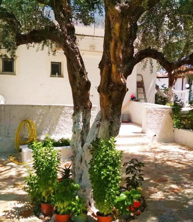 Billy'S Amoudi Apartments Екстер'єр фото